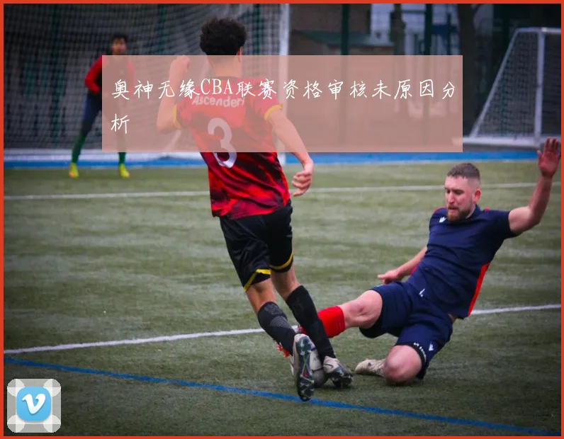 奥神无缘CBA联赛资格审核未原因分析