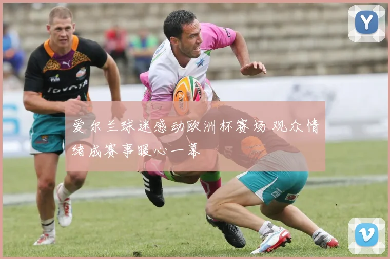 爱尔兰球迷感动欧洲杯赛场 观众情绪成赛事暖心一幕